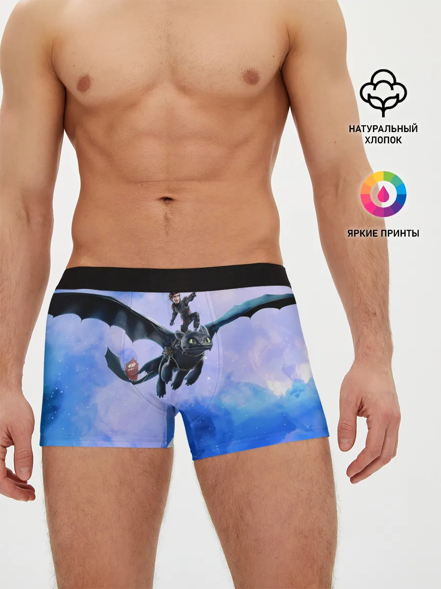 Мужские трусы боксеры / Night Fury