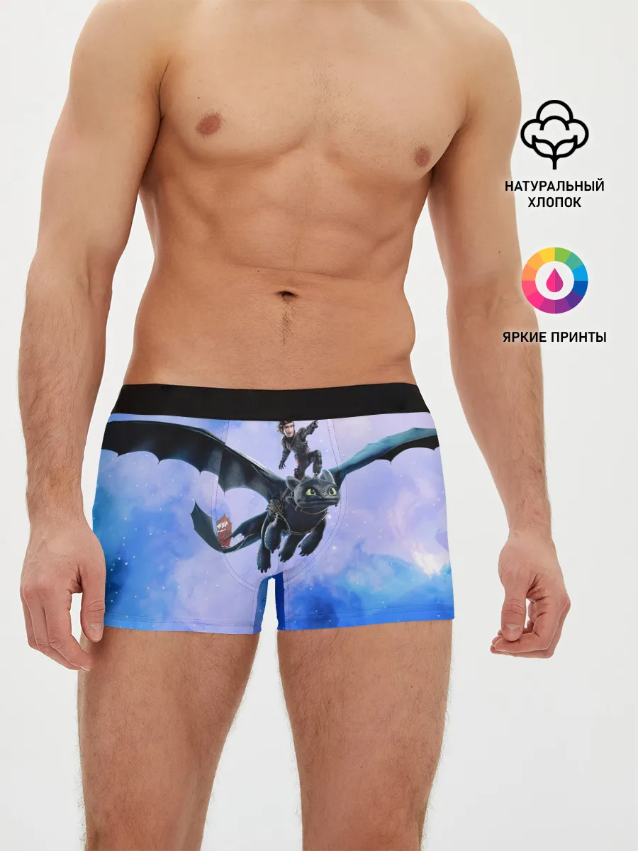 Мужские трусы боксеры / Night Fury