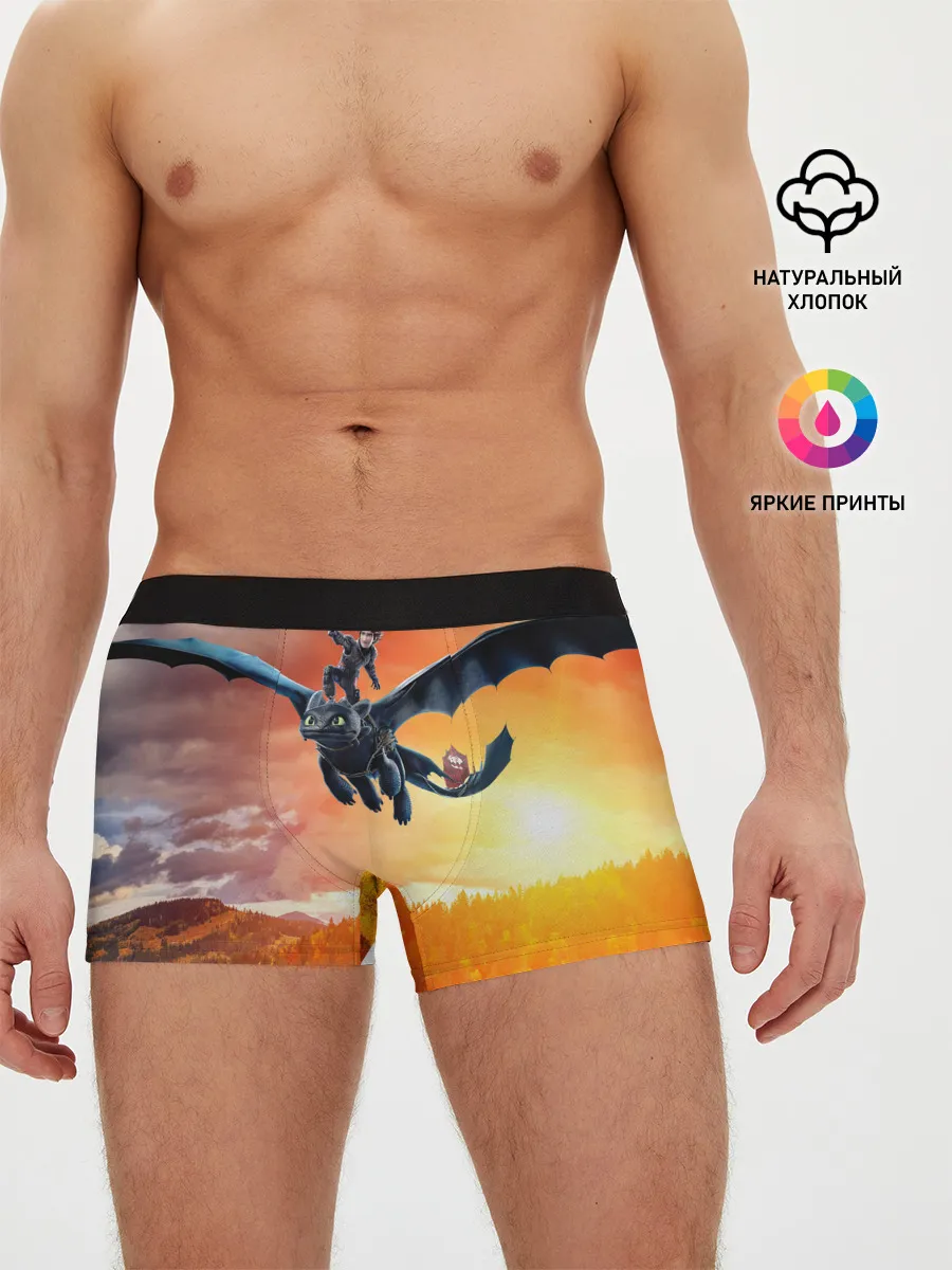 Мужские трусы боксеры / Night Fury