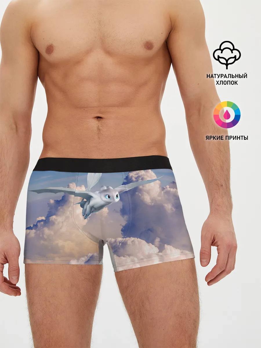 Мужские трусы боксеры / Light Fury