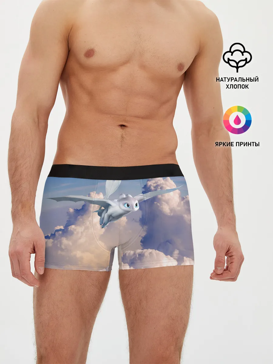 Мужские трусы боксеры / Light Fury