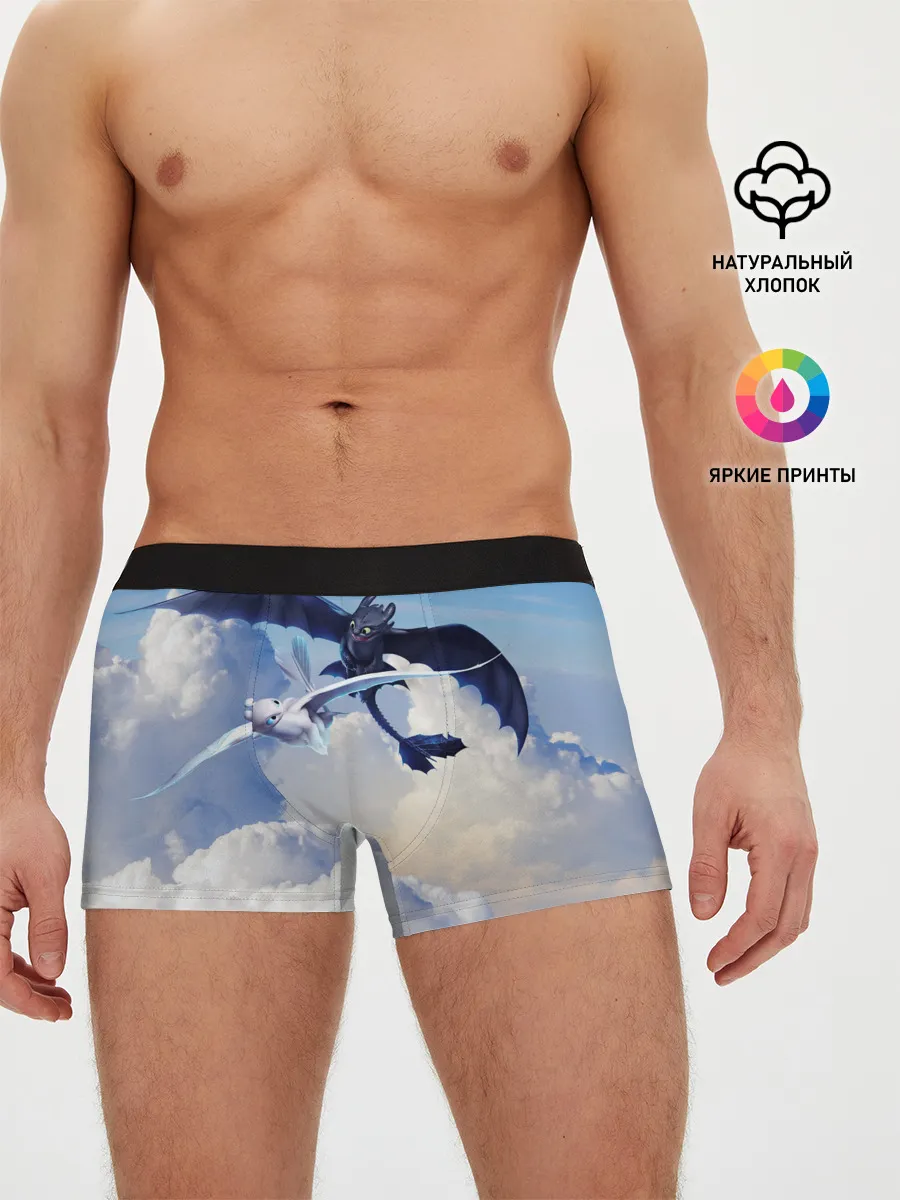 Мужские трусы боксеры / Night Fury