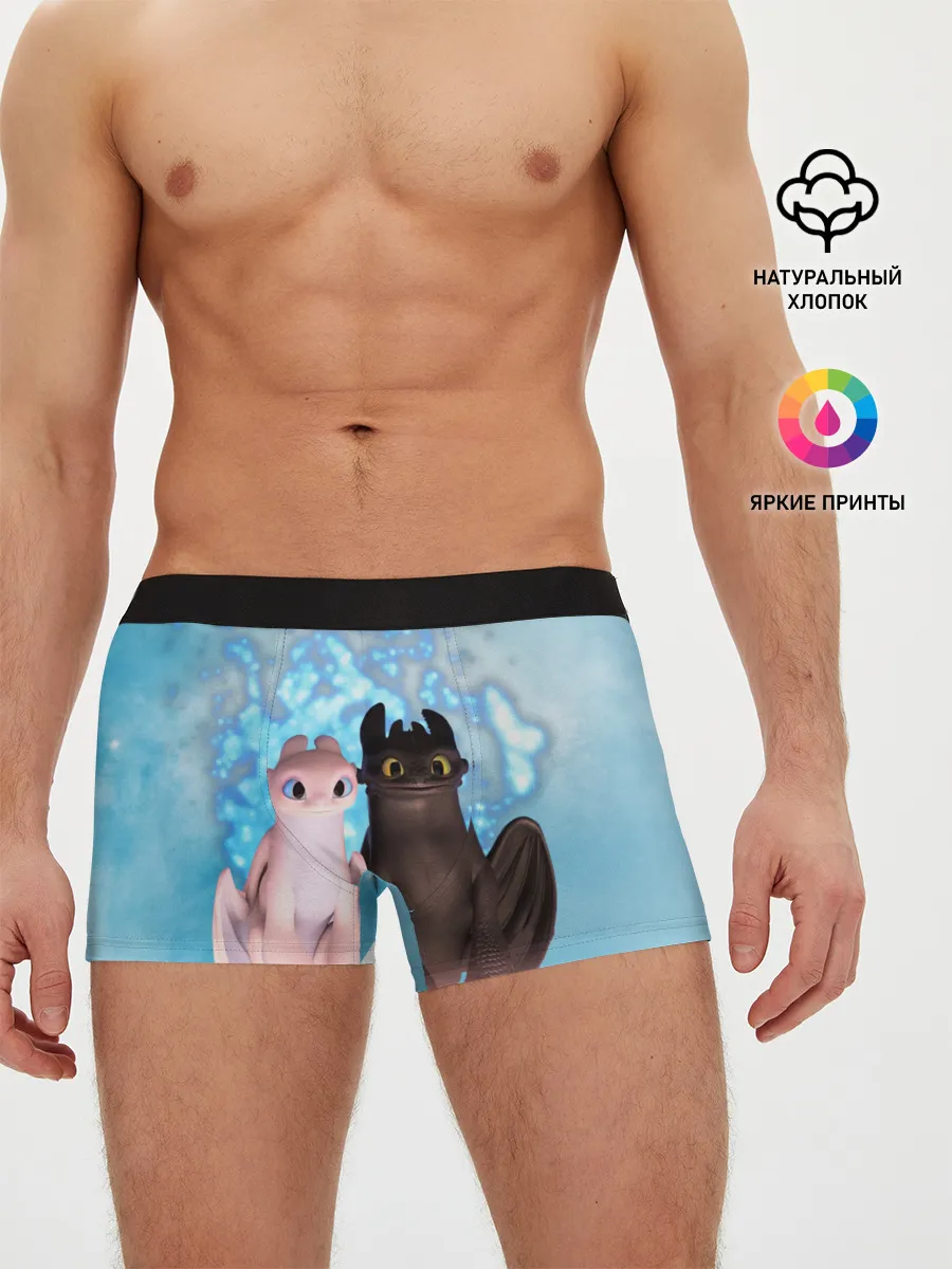 Мужские трусы боксеры / ночная фурия