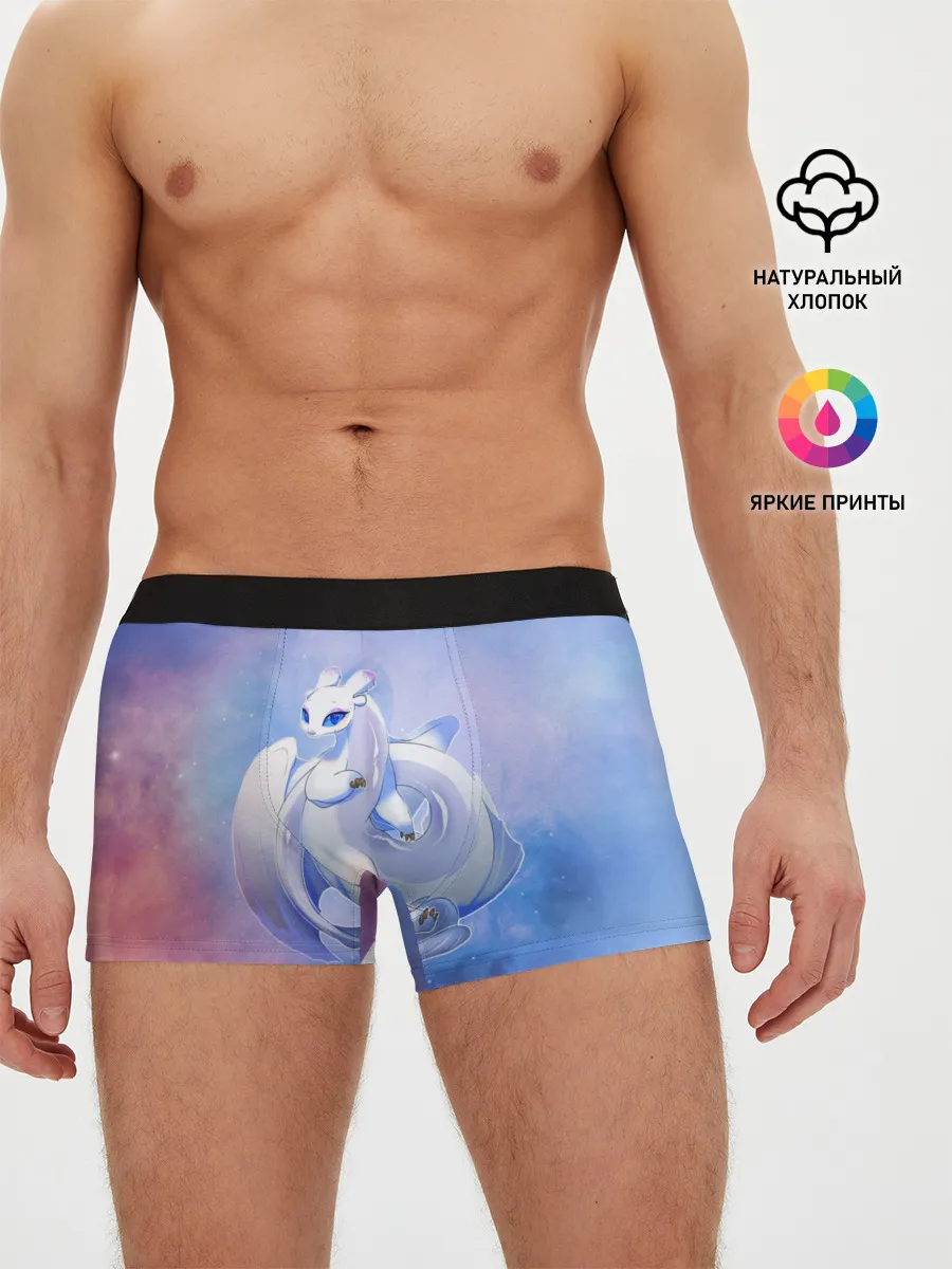 Мужские трусы боксеры / дневная фурия