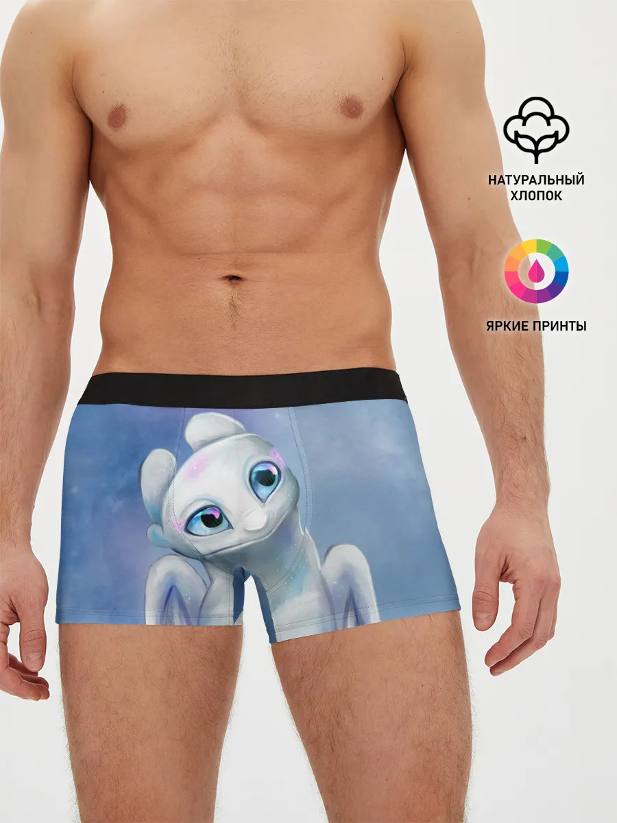 Мужские трусы боксеры / дневная фурия