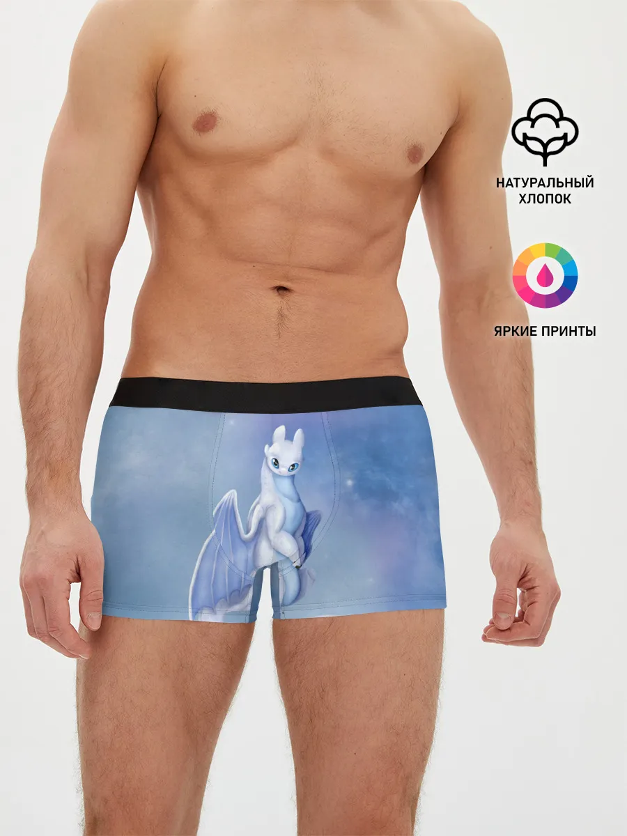 Мужские трусы боксеры / дневная фурия