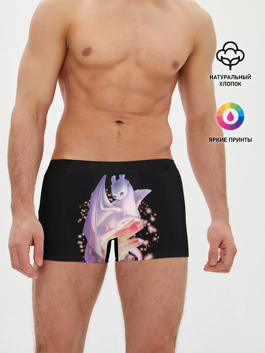Мужские трусы боксеры / дневная фурия