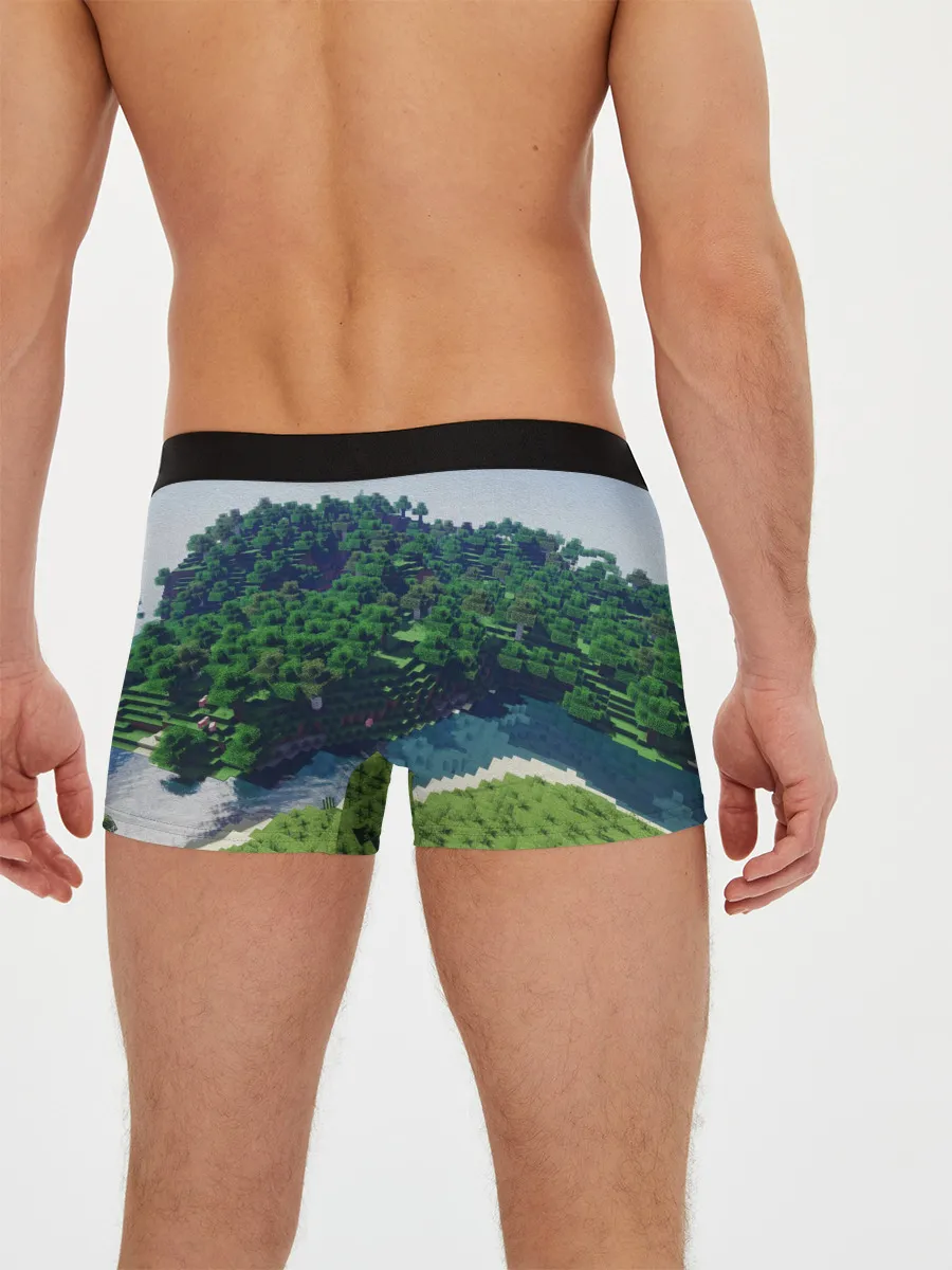 Мужские трусы боксеры / Minecraft