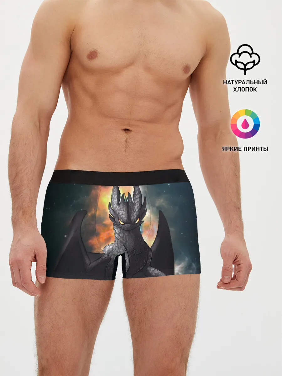 Мужские трусы боксеры / Night Fury