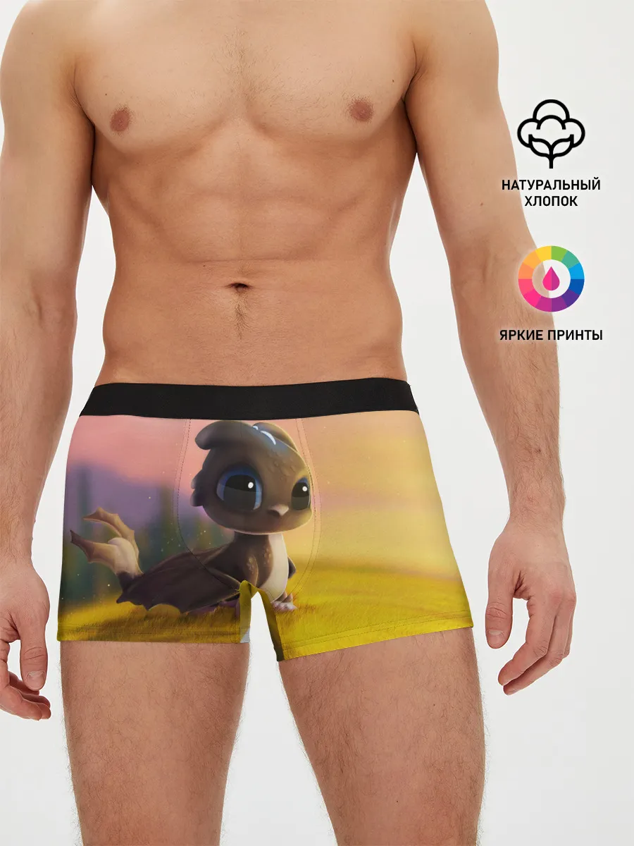 Мужские трусы боксеры / Дракончик на берегу озера
