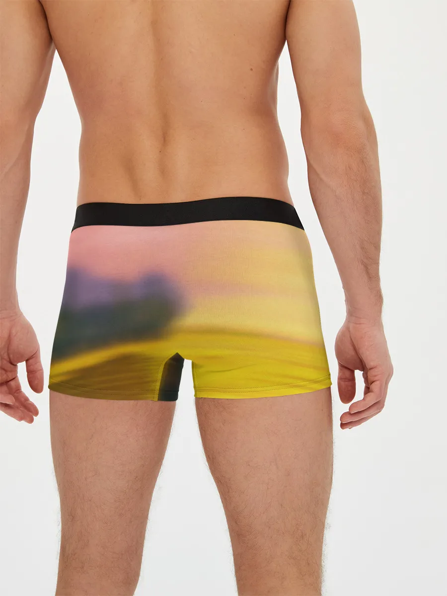 Мужские трусы боксеры / Дракончик на берегу озера