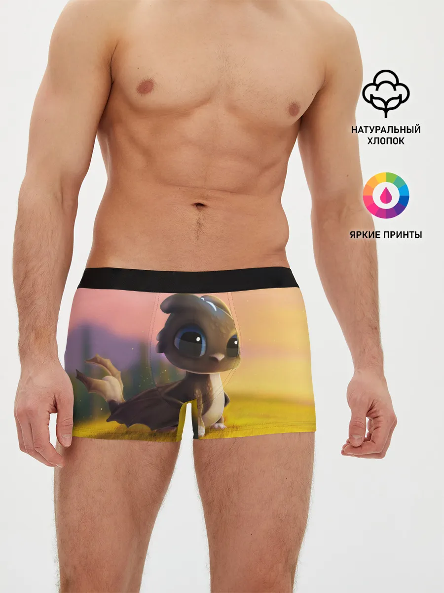 Мужские трусы боксеры / Дракончик на берегу озера