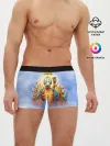 Мужские трусы боксеры / Borderlands 3