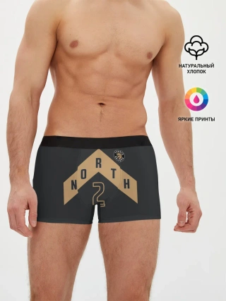 Мужские трусы боксеры / Toronto Raptors Leonard