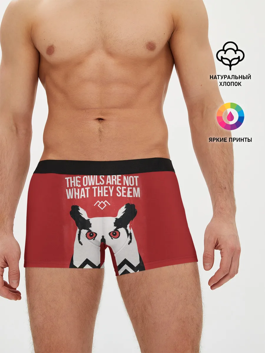 Мужские трусы боксеры / Twin Peaks