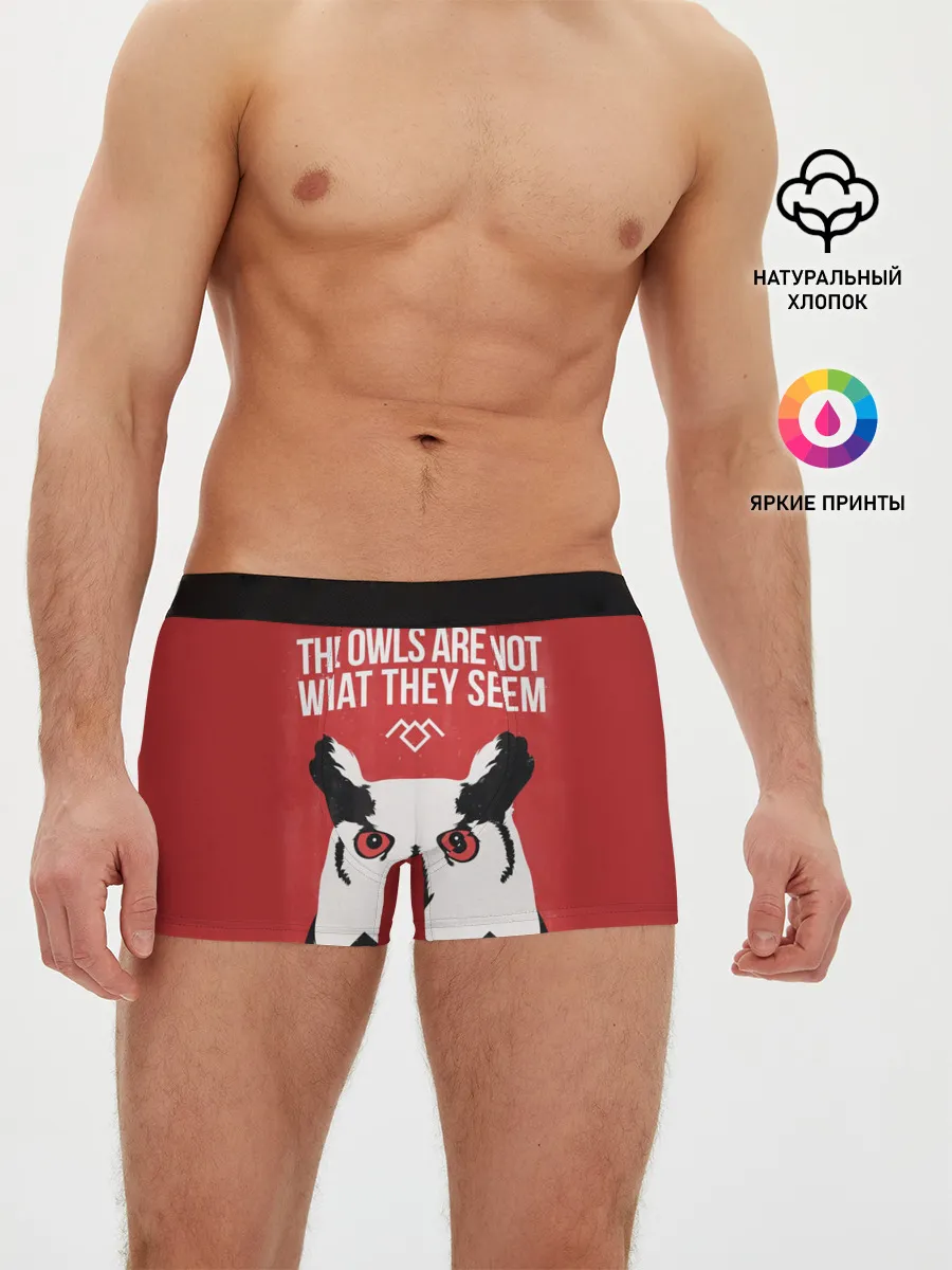 Мужские трусы боксеры / Twin Peaks