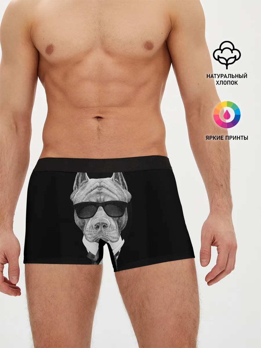 Мужские трусы боксеры / Питбуль