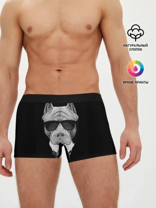 Мужские трусы боксеры / Питбуль