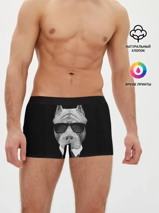 Мужские трусы боксеры / Питбуль
