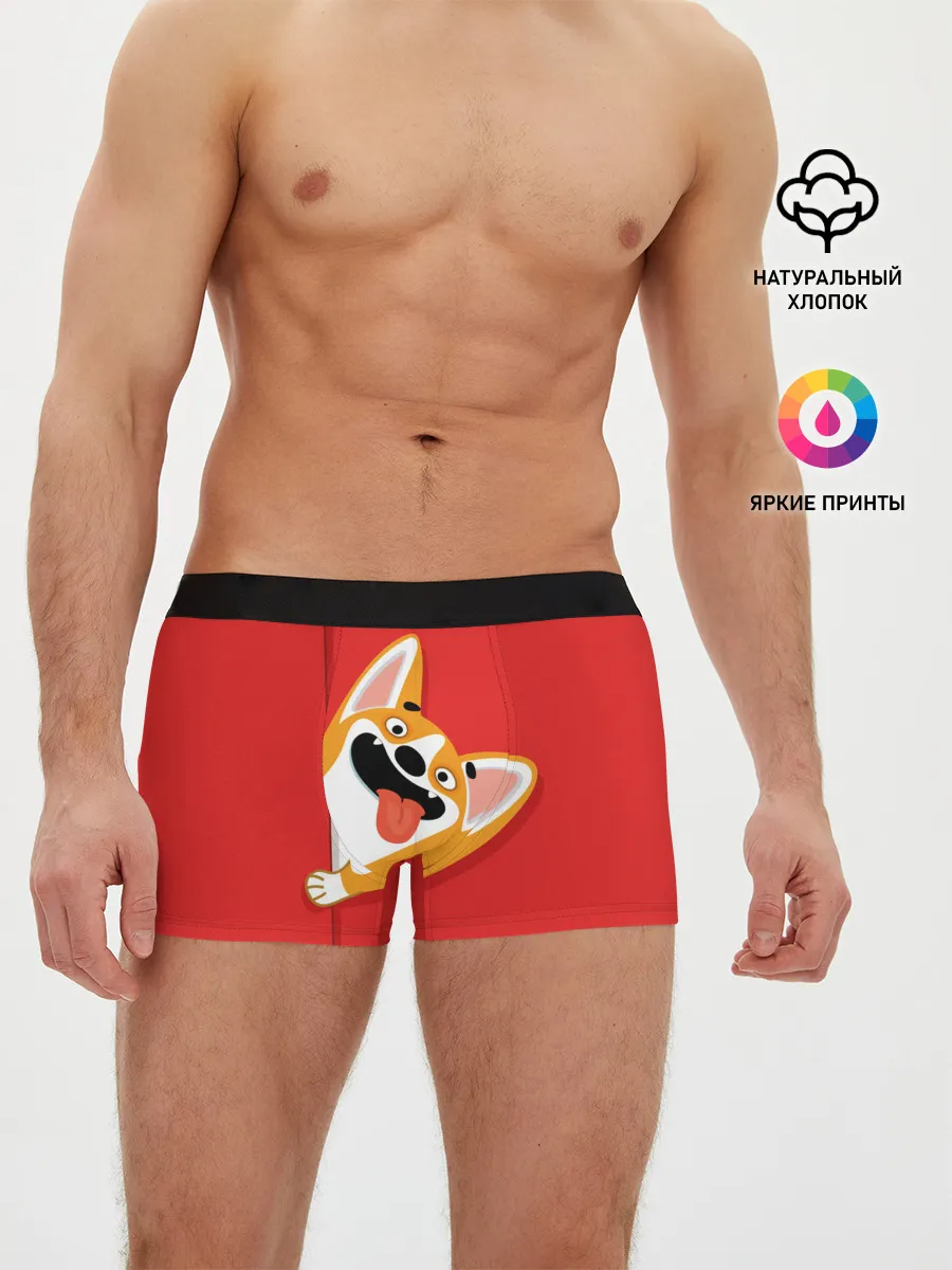 Мужские трусы боксеры / Вельш Корги Пемброк