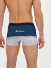 Мужские трусы боксеры / Rossignol