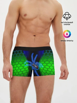Мужские трусы боксеры / Паук на ночной охоте