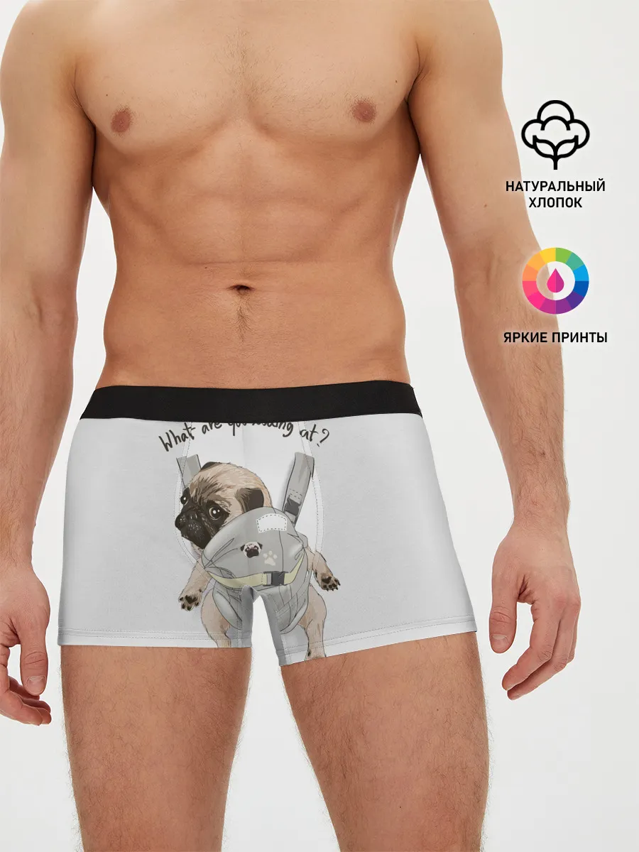 Мужские трусы боксеры / Мопс в рюкзаке