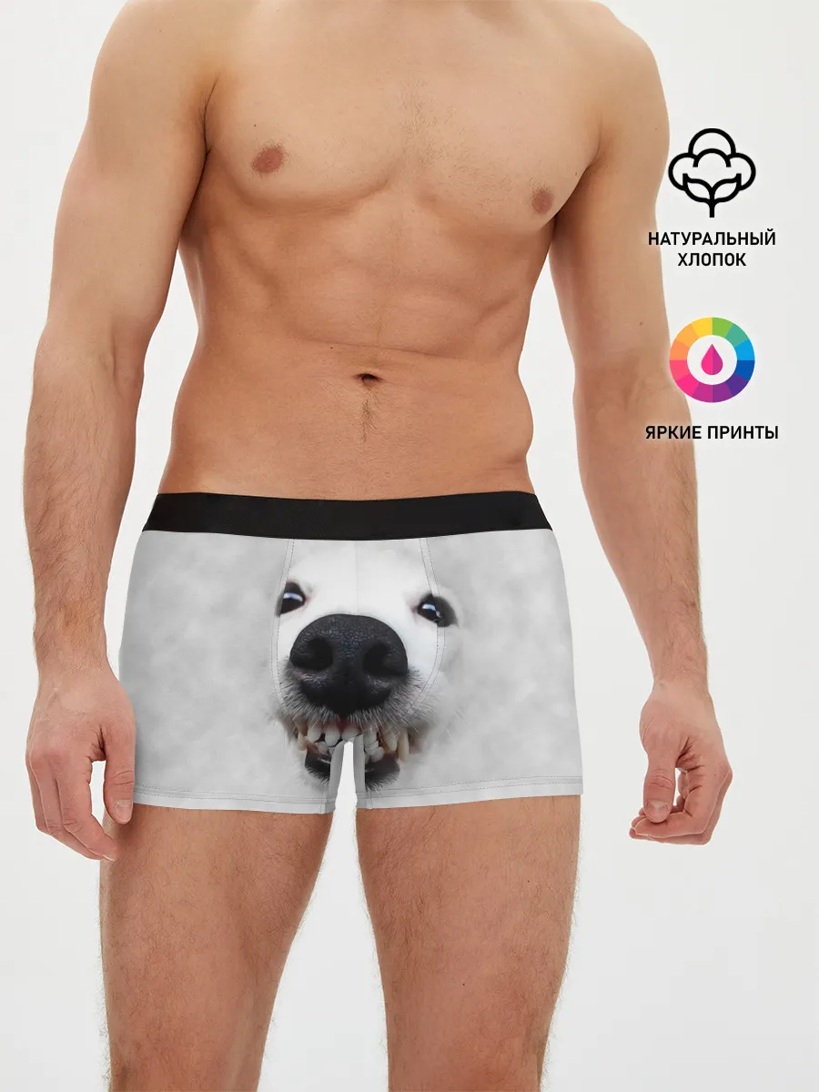 Мужские трусы боксеры / Собака - улыбака