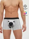 Мужские трусы боксеры / Собака - улыбака