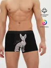 Мужские трусы боксеры / I Love Sphynx!