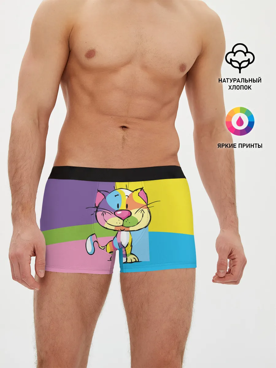 Мужские трусы боксеры / Кот