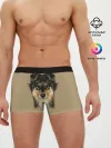 Мужские трусы боксеры / Sheltie