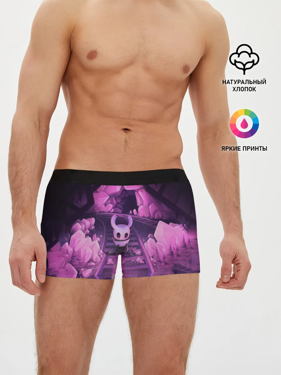 Мужские трусы боксеры / Hollow Knight
