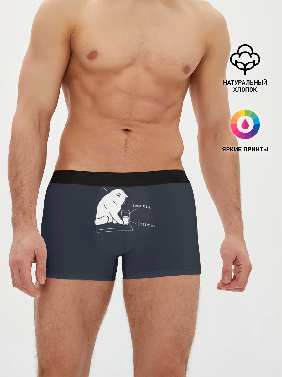 Мужские трусы боксеры / Кот хулиган