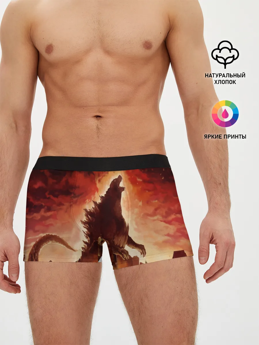 Мужские трусы боксеры / GODZILLA