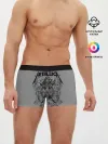 Мужские трусы боксеры / Metallica