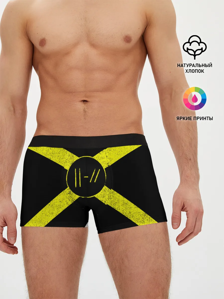 Мужские трусы боксеры / Twenty One Pilots 14