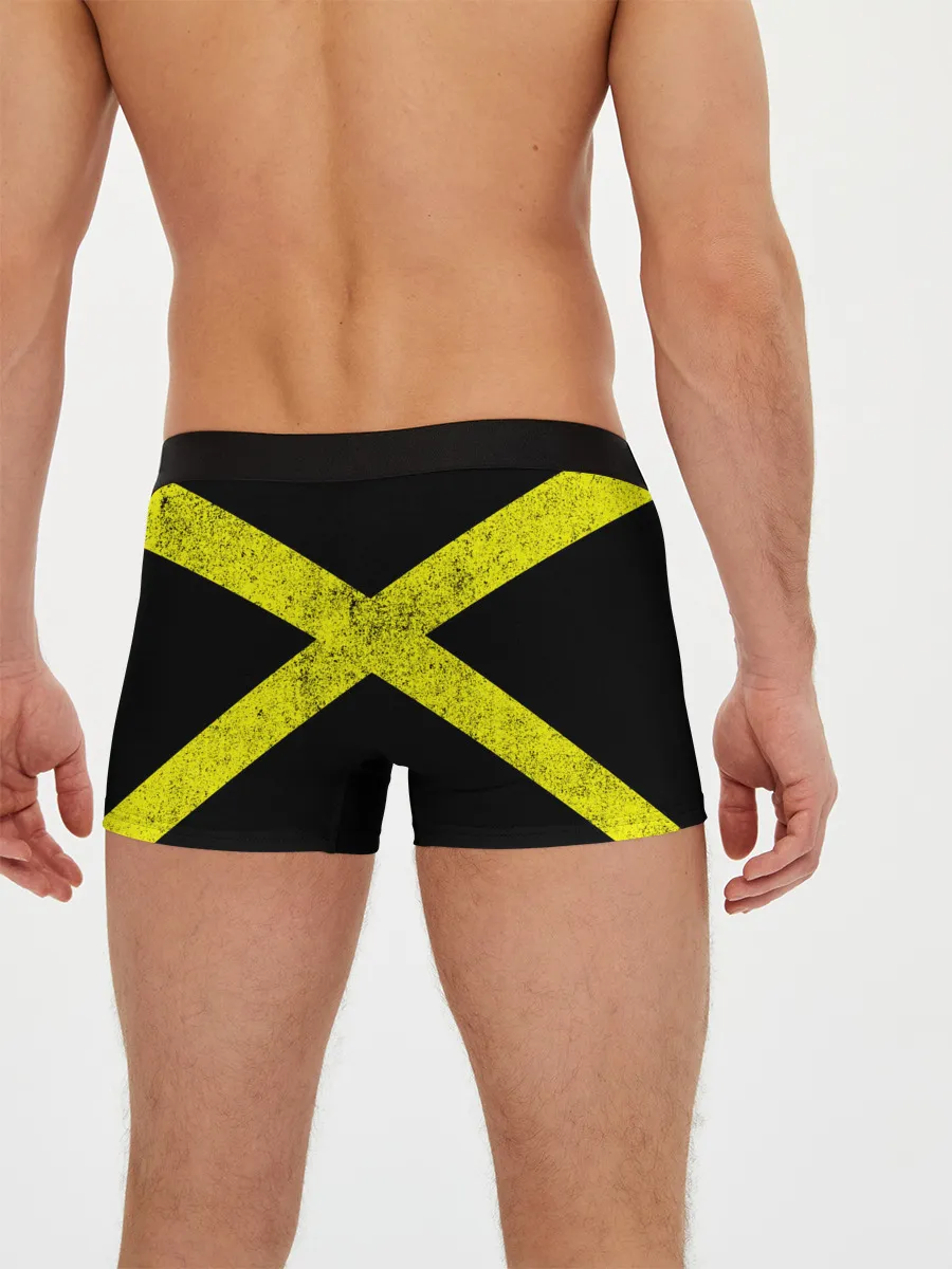 Мужские трусы боксеры / Twenty One Pilots 14