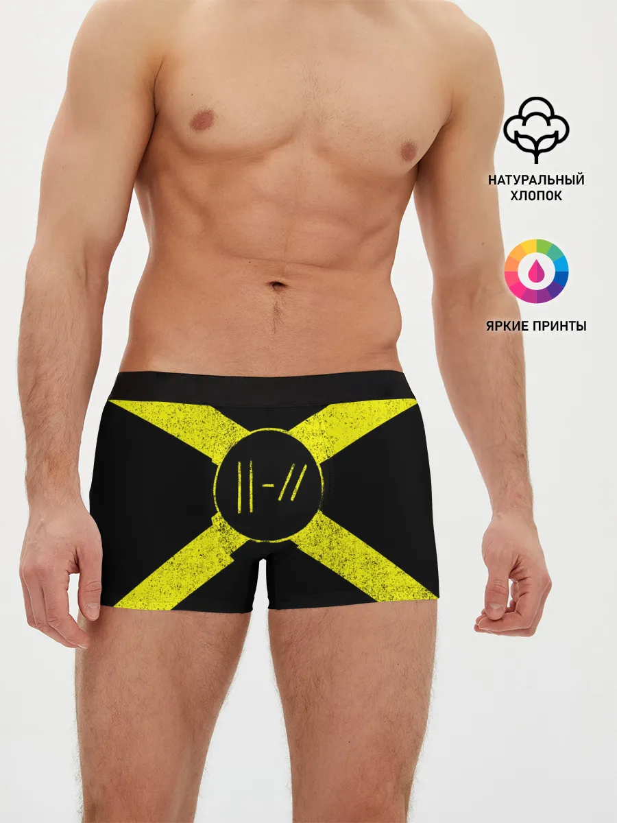 Мужские трусы боксеры / Twenty One Pilots 14