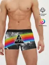 Мужские трусы боксеры / PINK FLOYD