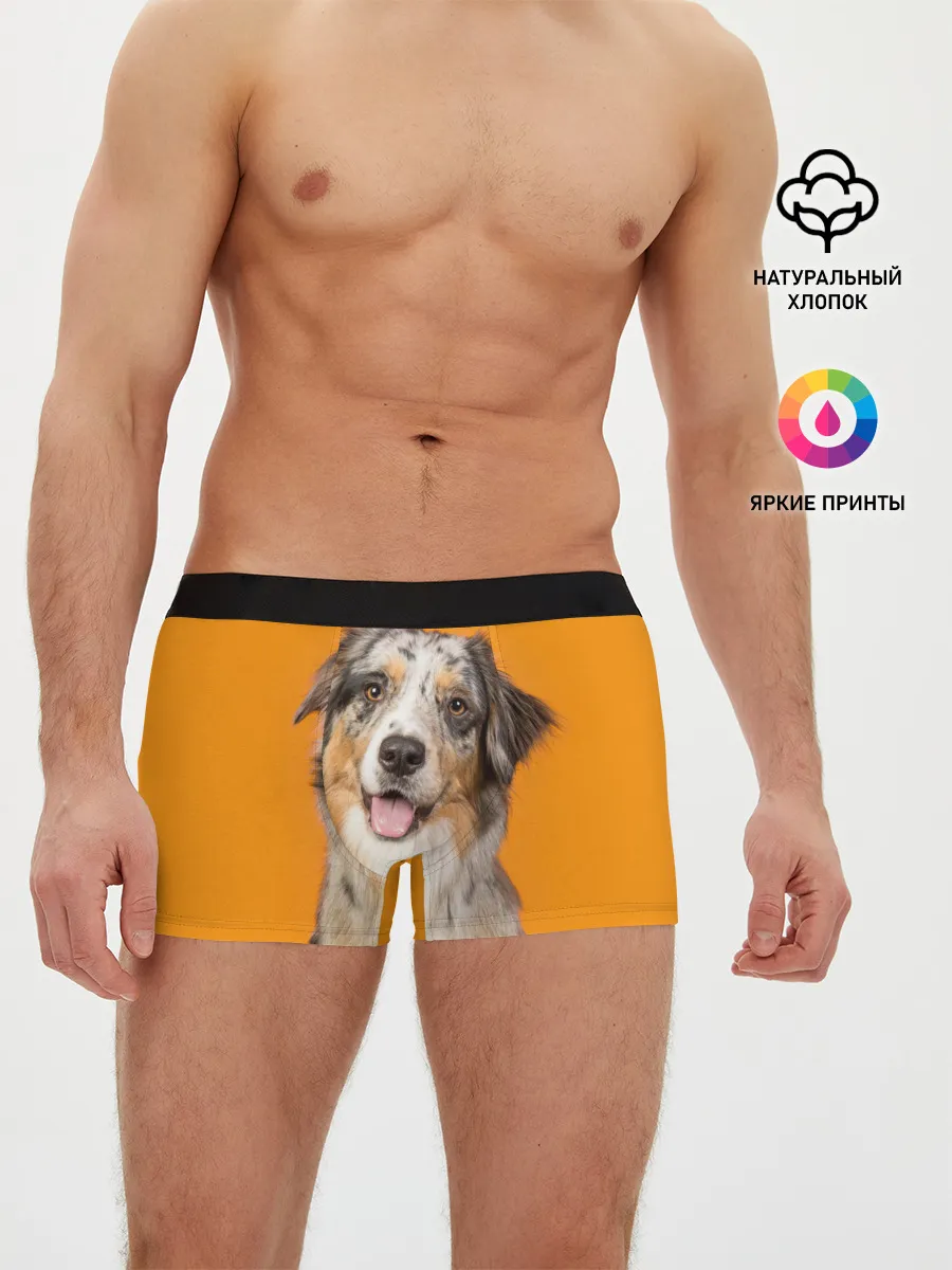 Мужские трусы боксеры / Австралийская овчарка