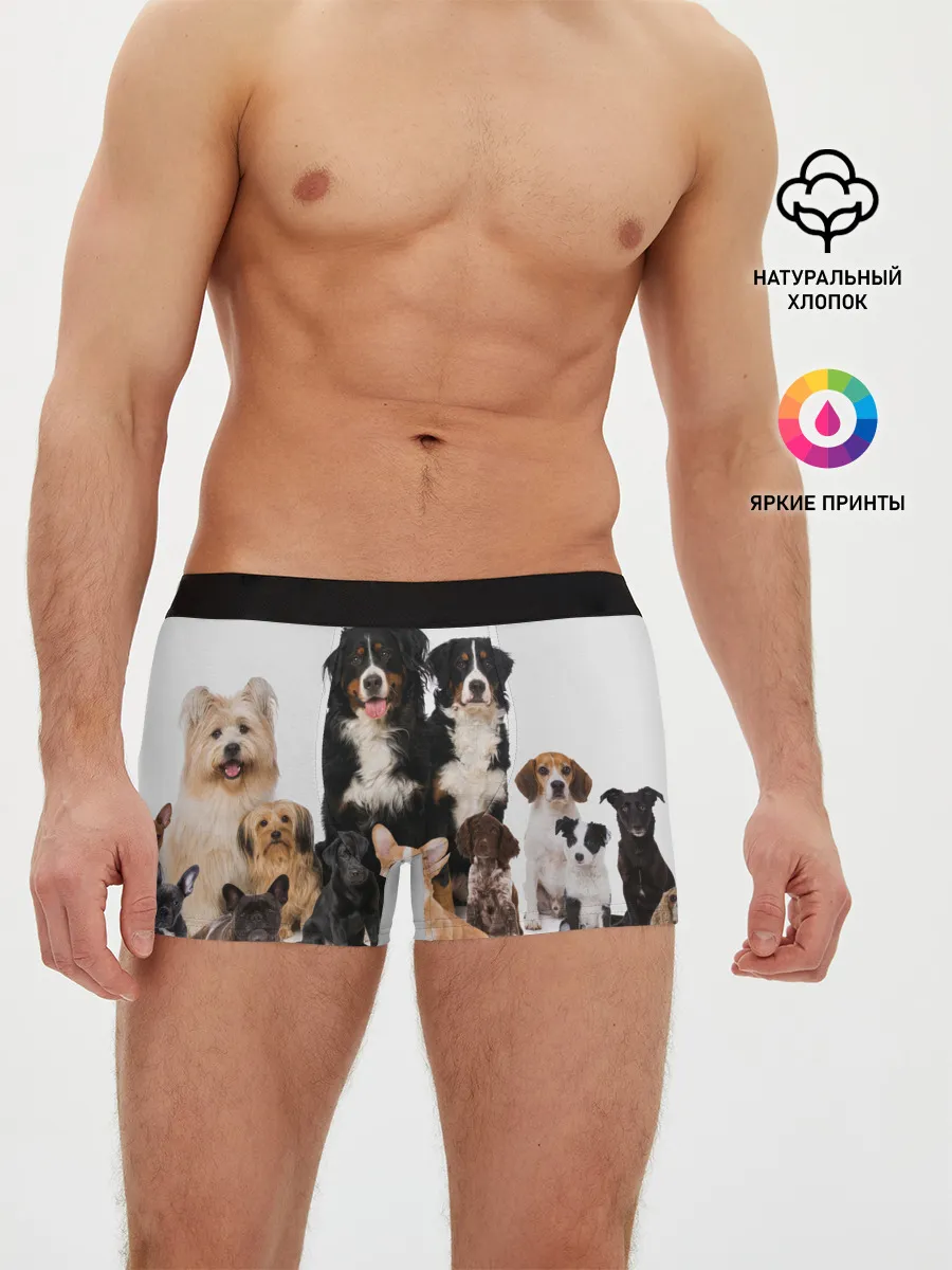 Мужские трусы боксеры / Породистые собаки