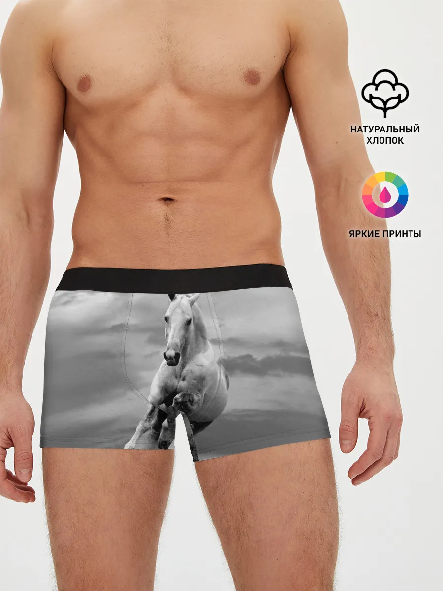 Мужские трусы боксеры / Белая лошадь