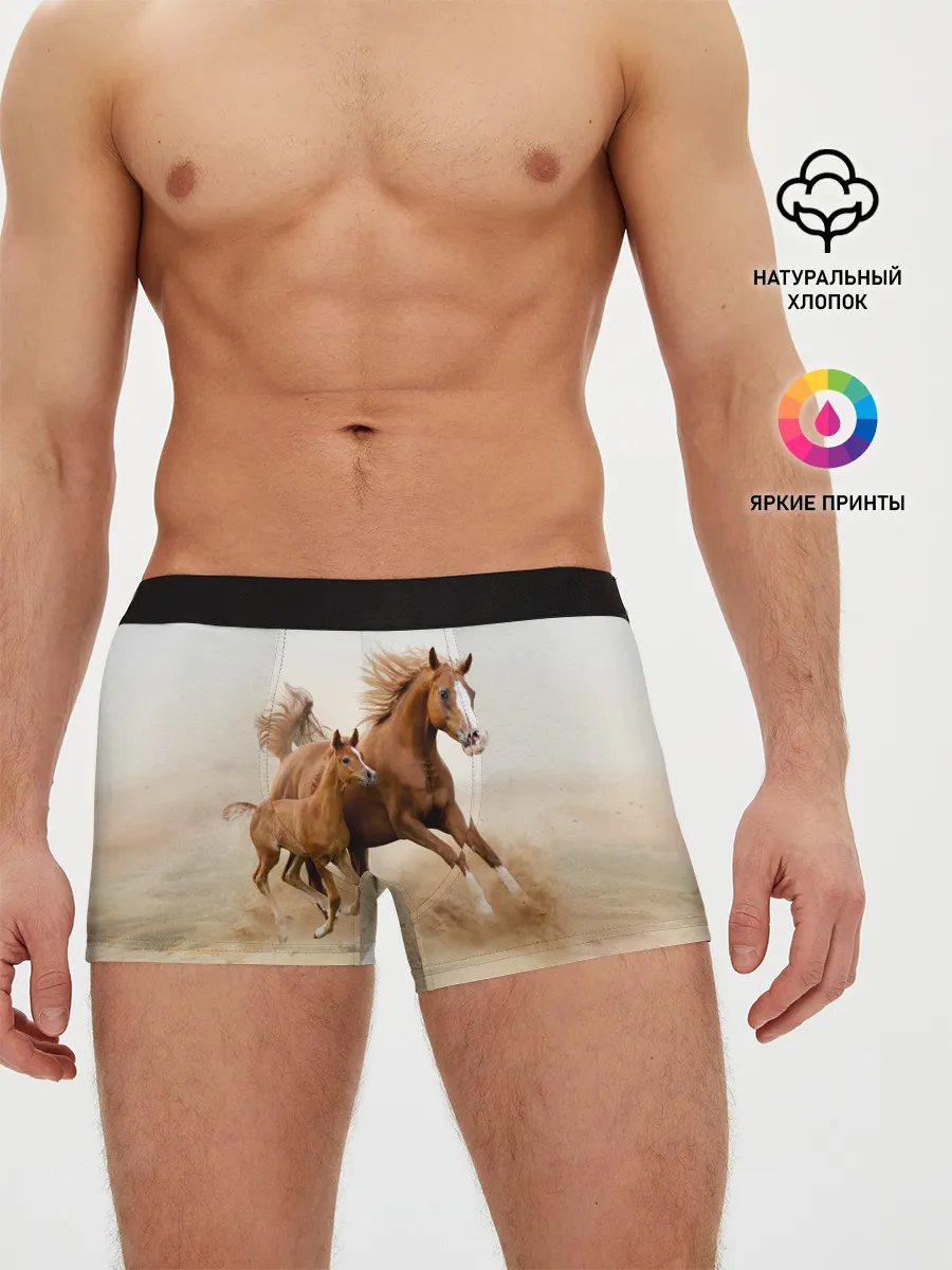 Мужские трусы боксеры / Лошадь с жеребенком