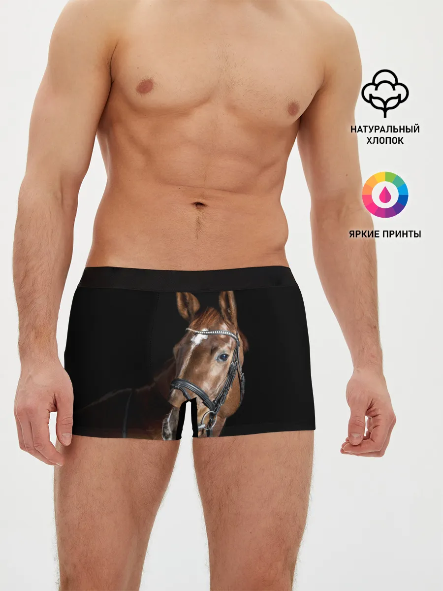 Мужские трусы боксеры / Гнедая лошадь
