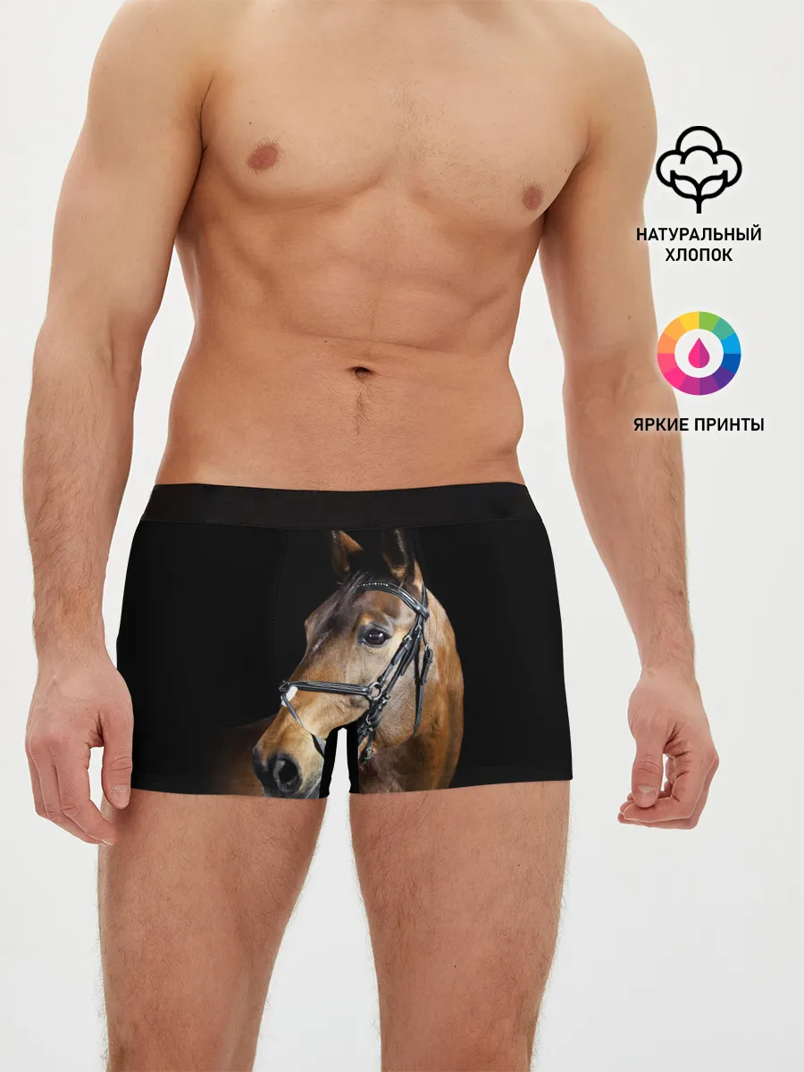 Мужские трусы боксеры / Гнедая лошадь