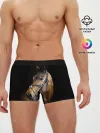 Мужские трусы боксеры / Гнедая лошадь
