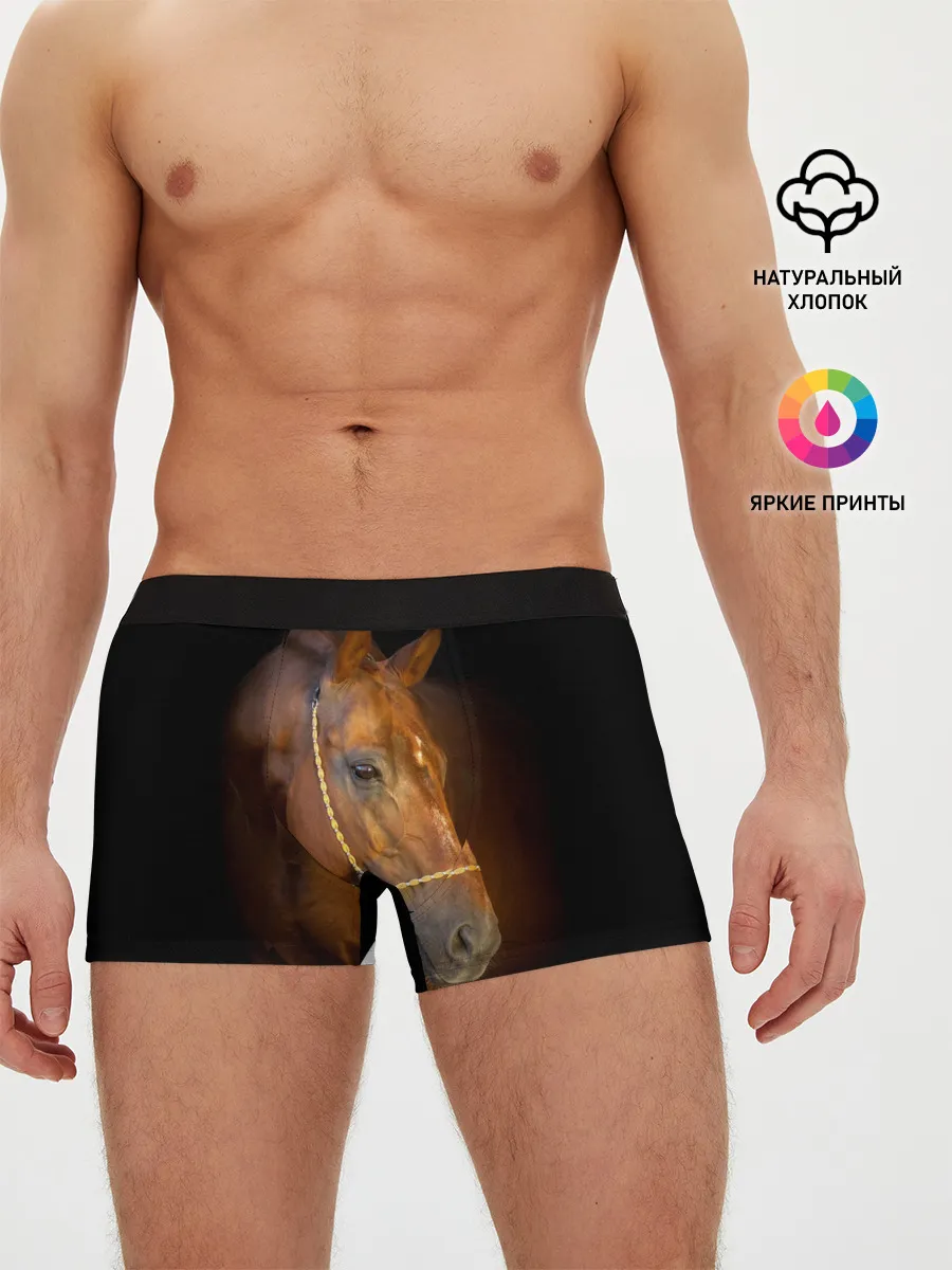 Мужские трусы боксеры / Гнедая лошадь