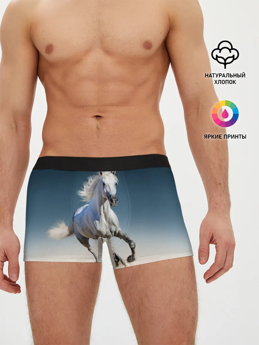 Мужские трусы боксеры / Серый в яблоках конь