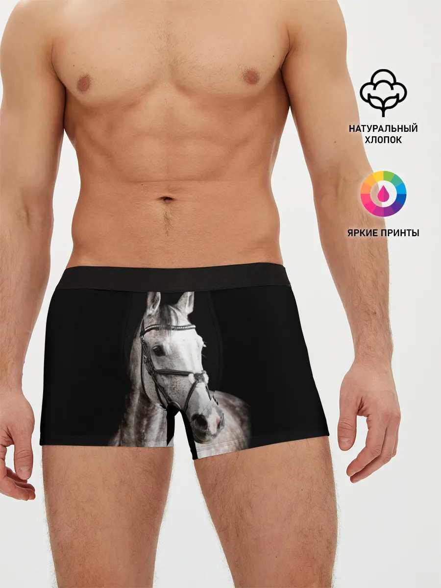 Мужские трусы боксеры / Серный в яблоках конь